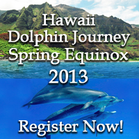 Hawaii Dolphin Journey
